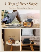 PRUNUS J-150 retro radyo – görsel 6