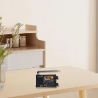 DEEPELEC DP-666 TEF6686 Tam Bant DSP Radyo